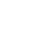 Icon Round Factory