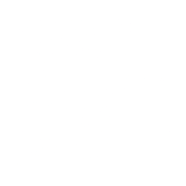 Icon Solid Hospital